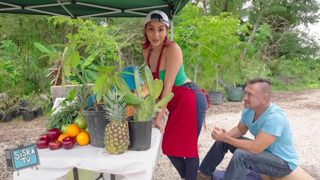 Roxie Sinner - Fresh Corn - RKPrime