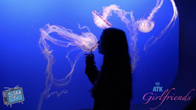 Summer Renee - Norcal 5