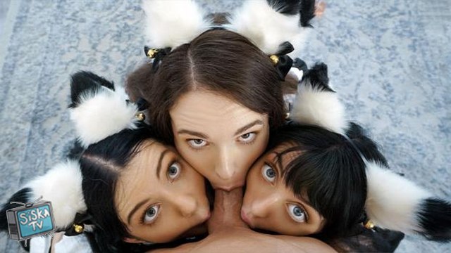 Brooke Johnson, Kitty Cam , Lily Thot - I